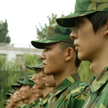 2011׵ڌW(xu)T܊Ӗ(xn)