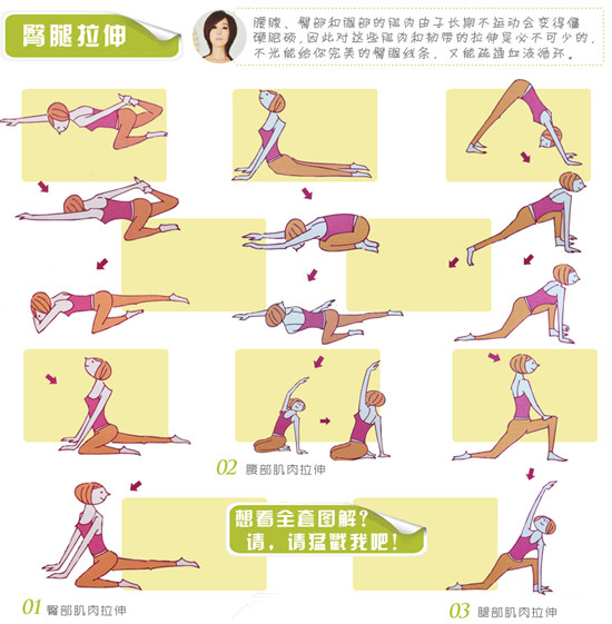 新面孔模特瘦身指導(dǎo)減肥操精髓圖鑒